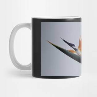 The bird of paradise flower Mug